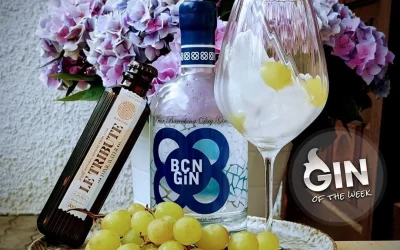 Frank’s Gin Of The Week: BCN Gin