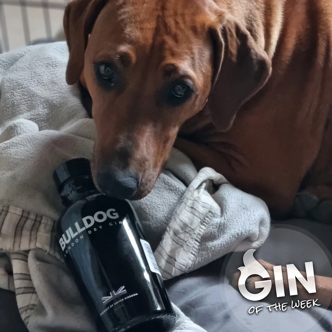 Jens’ Gin Of The Week: Bulldog London Dry Gin
