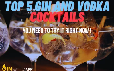 Top 5 Gin and Vodka Cocktails You Need To Try Right Now