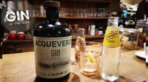 Acqueverdi Gin