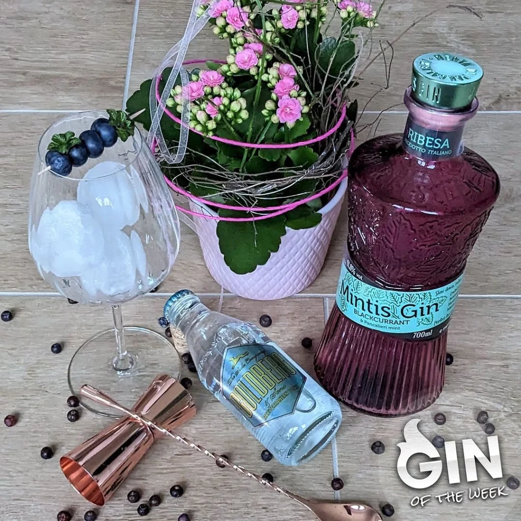 Mintis Blackcurrant Gin