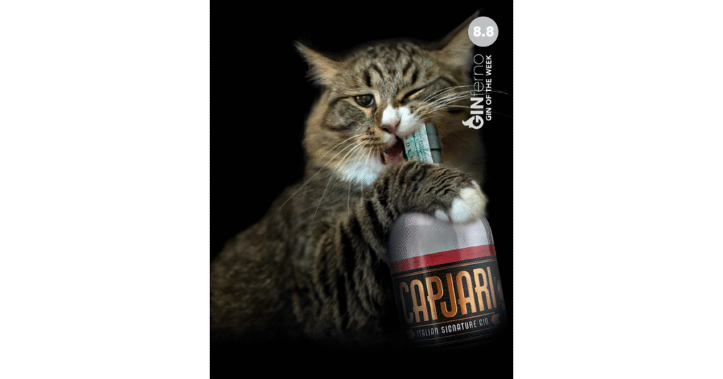 Capjari Gold Organic Gin